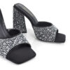 Darlene Mule