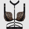 Rising Star Plunge Push Up Bustier in Petra Satin 19 Rising Star Plunge Push Up Bustier in Petra Satin
