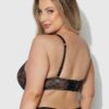 Rising Star Plunge Push up Bra in Luella Lace