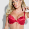 Hollywood Exxtreme Plunge Push Up Bra
