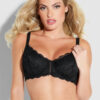Charlotte Lace Full Figure Underwire Bra