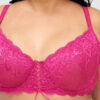 Charlotte Lace Full Figure Underwire Bra