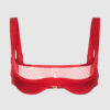 Raven Balconette Mesh Bra