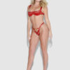 Raven Balconette Mesh Bra