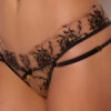 Delfina Embroidered Crotchless & Backless Hipster