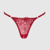 Melrose Embroidered Crotchless Thong