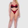 Lexi Liquid Satin & Lace V-Tanga Panty