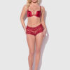 Mabel Crotchless Lace Up Back Cheeky