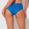 Bridget Stretch Cotton & Lace Hipster
