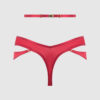 Pia Shine Mesh Open Crotch Tanga With Garters