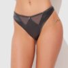 Neev Oil Slick & Mesh Tanga
