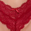 Lulu Lace V-Cheeky