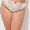 Neev Oil Slick & Mesh Tanga