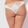 Neev Oil Slick & Mesh Tanga