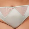 Neev Oil Slick & Mesh Tanga