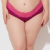 Bridget Cotton & Lace Hipster