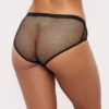 Fern Fishnet & Lace Boyshort