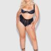 Harlow Embroidered Mesh Lace Up Backless Cheeky
