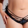 Harlow Embroidered Mesh Hipster
