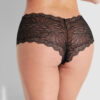 Saffron Floral Lace Cheeky