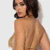 Ziggy Rhinestone Dangle V-Neck Bra